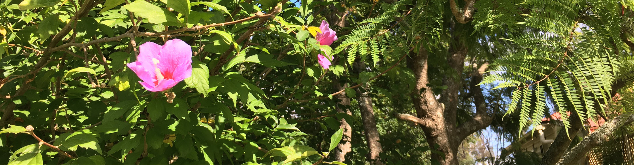 Australian Children's Camp 2025