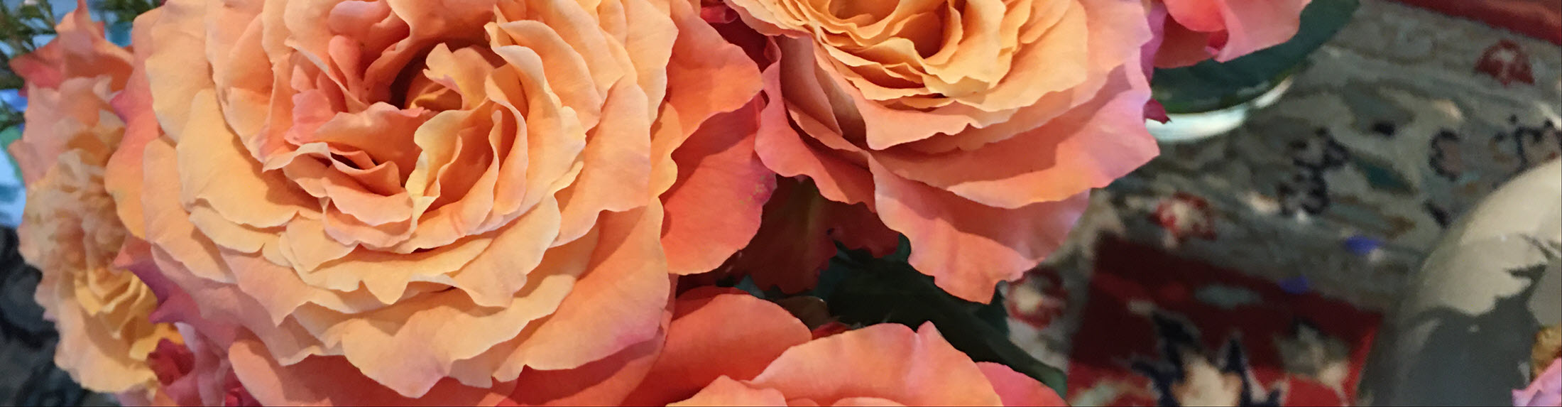 Australian Children's Camp 2025