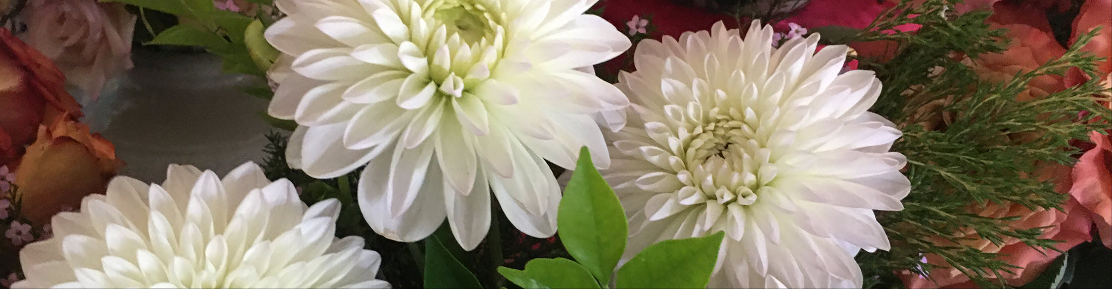 Australian Children's Camp 2025