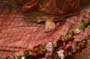 59th Wedding (105)